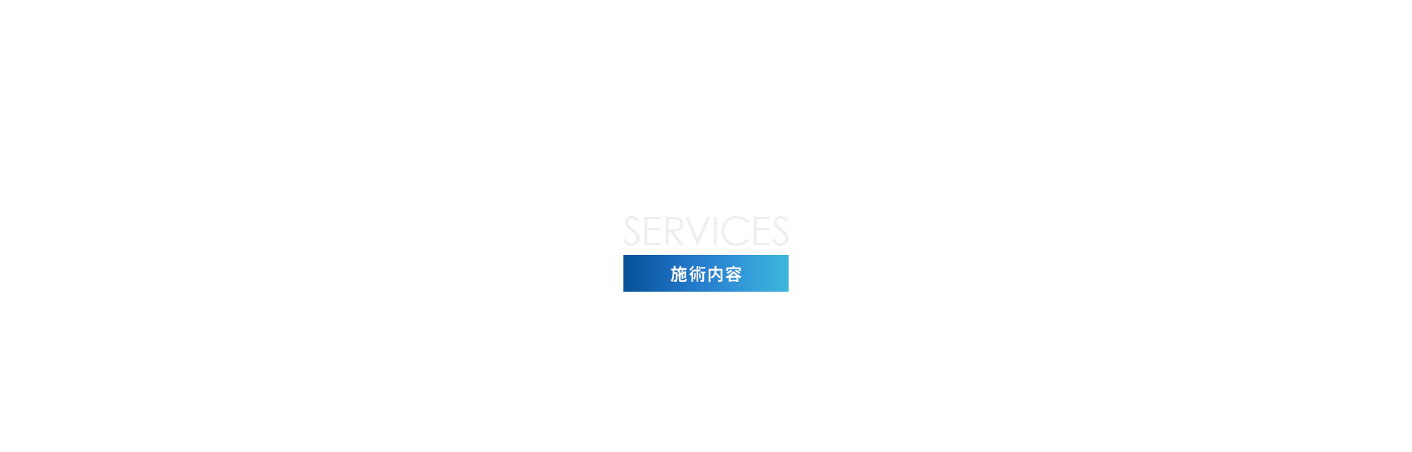 施術内容